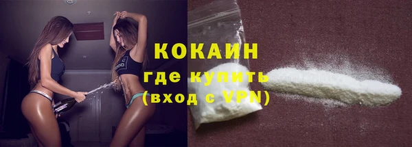 стафф Гусев
