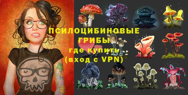 стафф Гусев