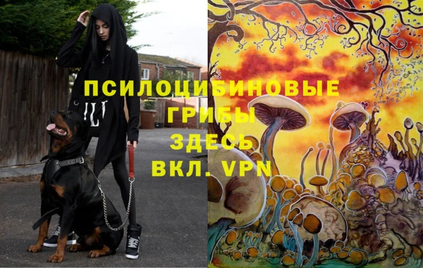 метадон Наволоки