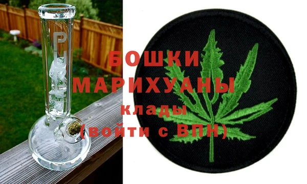 стафф Гусев