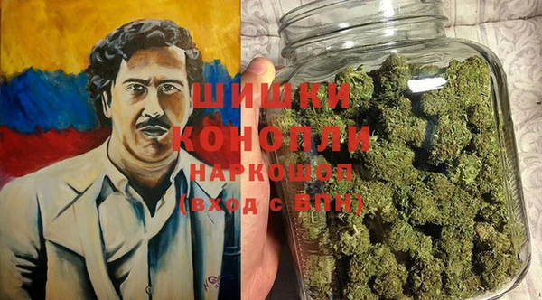 стафф Гусев