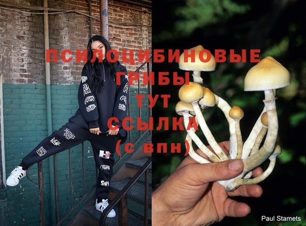 гидра Гусиноозёрск