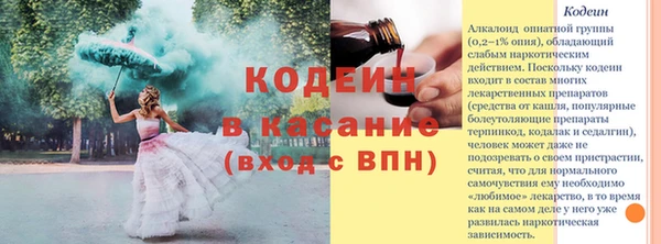 стафф Гусев