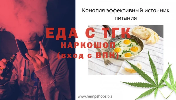 стафф Гусев
