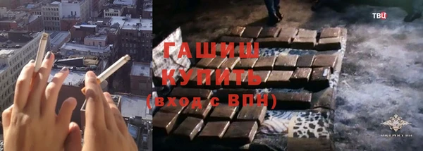 стафф Гусев