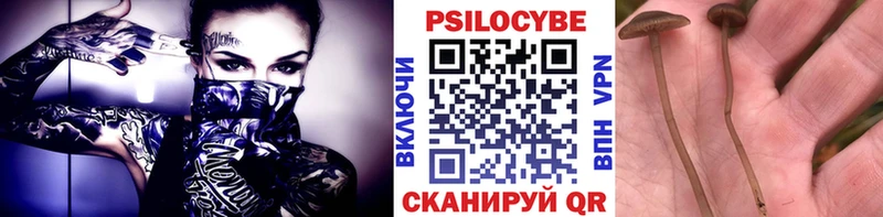 Псилоцибиновые грибы GOLDEN TEACHER  darknet Telegram  Партизанск  наркота 